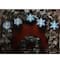 10ct. Blue & White Snowflake Clear Christmas Lights